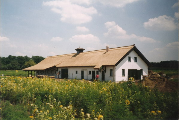 Új tető