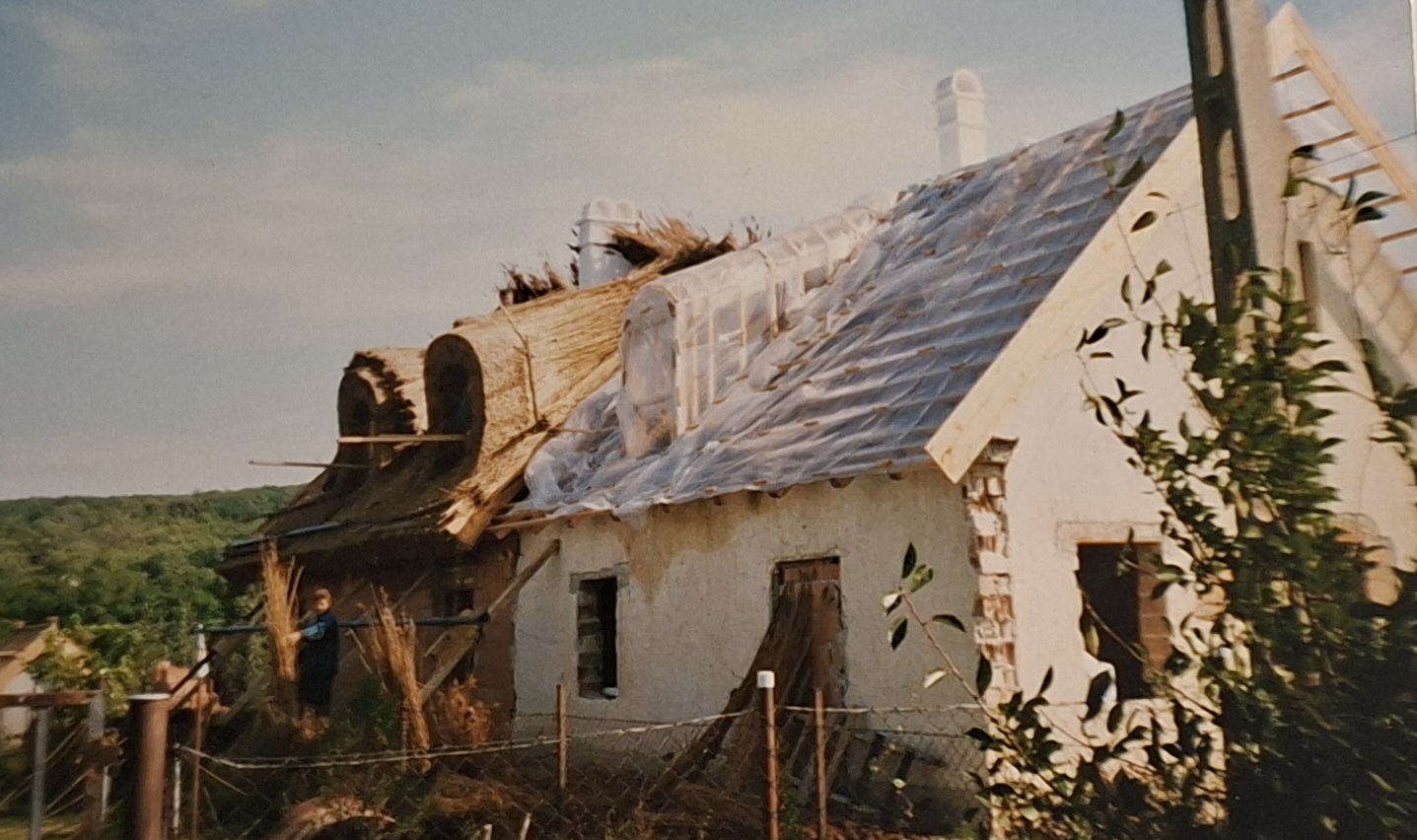 Új tető