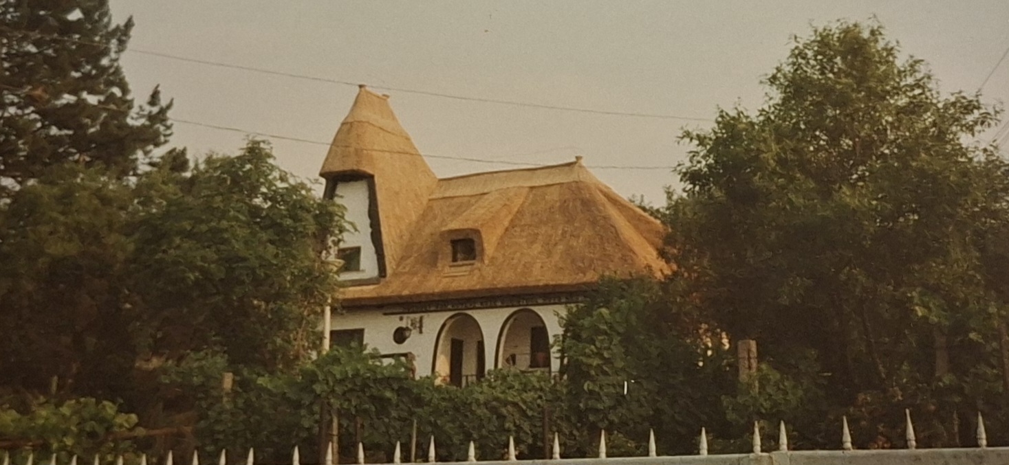 Új tető